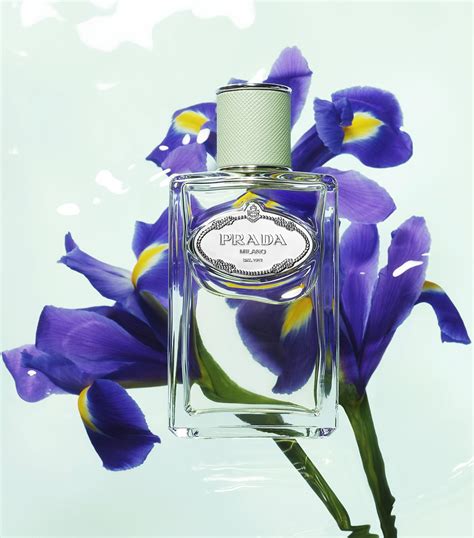 parfum prada infusion d iris|infusion d'iris prada 100ml.